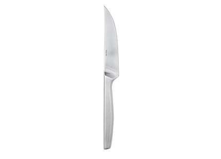 Steakkniv Norm 4 stk. Mat stål