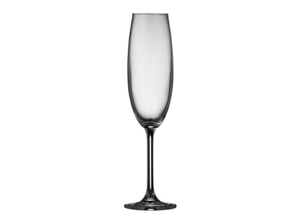 Champagneglas Juvel 22 cl 4 stk. - 4 pakker