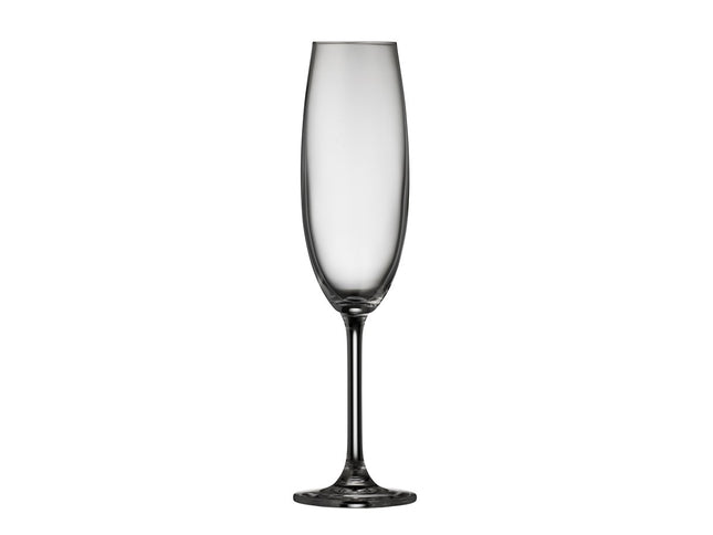 Champagneglas Juvel 22 cl 4 stk. - 4 pakker