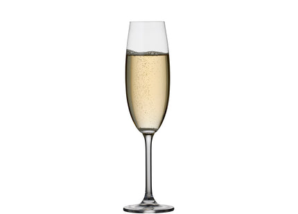 Champagneglas Juvel 22 cl 4 stk. - 4 pakker