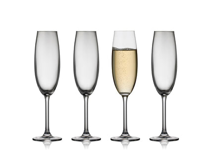 Champagneglas Juvel 22 cl 4 stk. - 4 pakker