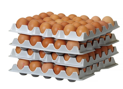 Sæt med 4 æggebakker til HENDI OVOBOX 120, HENDI, 291x288x(H)41mm, Rektangulær