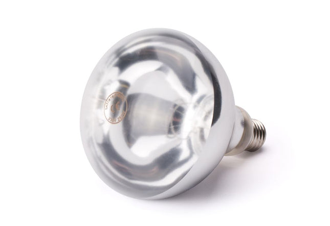 Infrarød varmepære, HENDI, Hvid, 230V/250W, ⌀125x(H)170mm